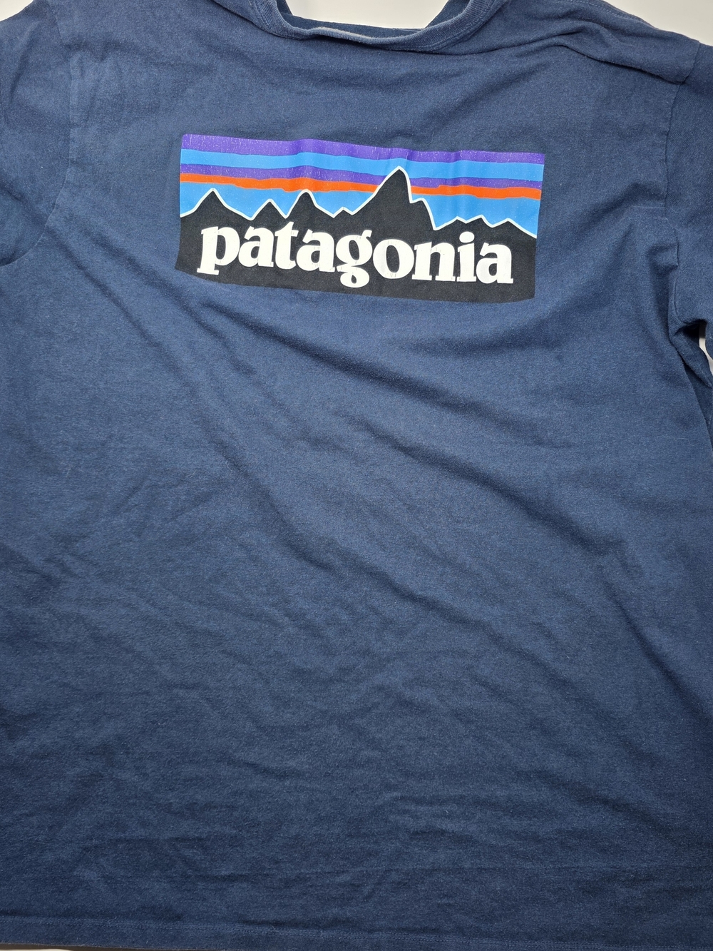 Patagonia Navy Mountain Stripe Logo Tee
